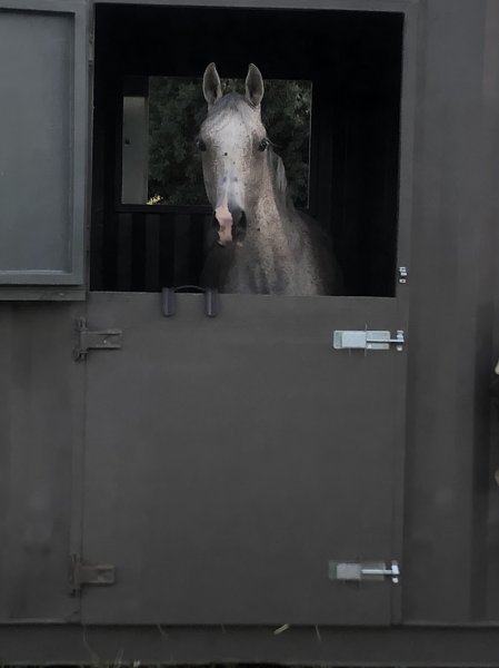 Écurie LS - photo 3