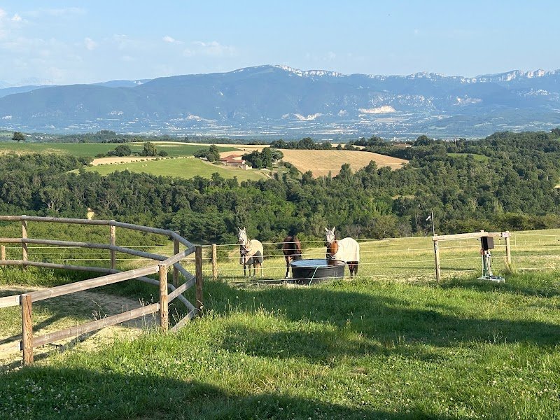 La pension de Bellevue - photo 1