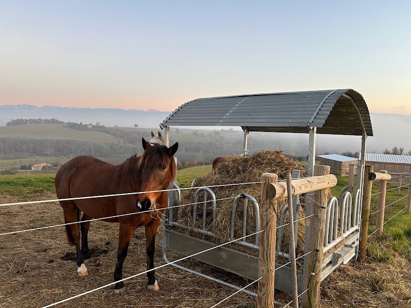 La pension de Bellevue - photo 2