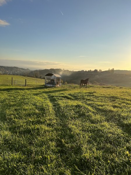 La pension de Bellevue - photo 3