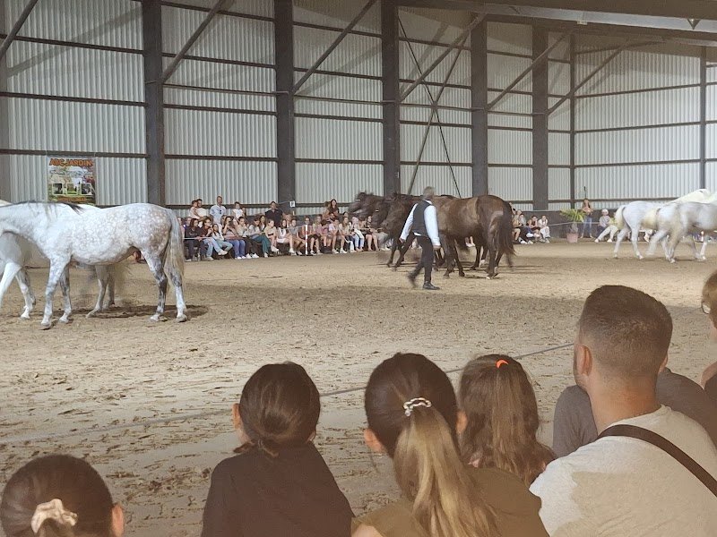 Ecurie Les Fées - photo 2