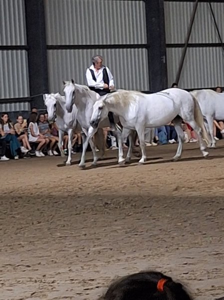 Ecurie Les Fées - photo 3