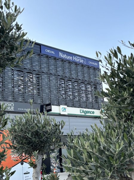 Nature Horse 07 - photo 2