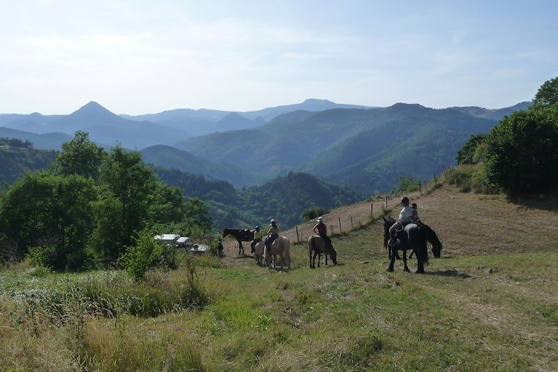 EQi Harmonie, ferme équestre initiatique et sanctuaire de chevaux en Ardèche - photo 2