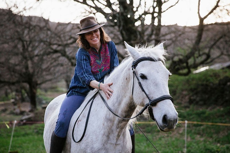 EQi Harmonie, ferme équestre initiatique et sanctuaire de chevaux en Ardèche - photo 3