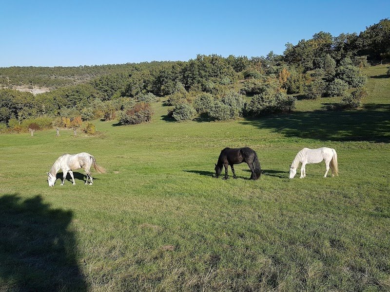 Ferme Equestre Le Relais de Vazeille - photo 1