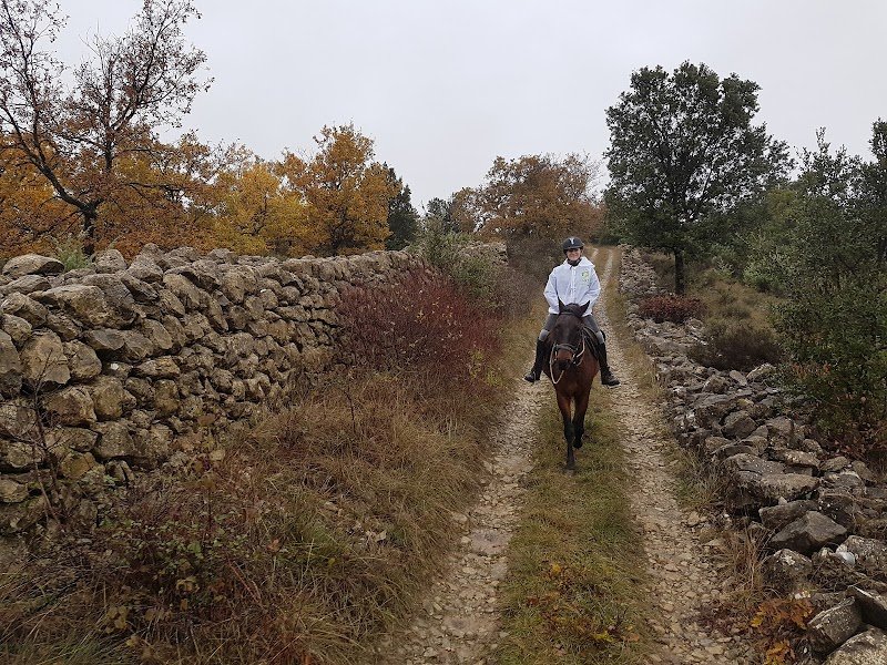 Ferme Equestre Le Relais de Vazeille - photo 2