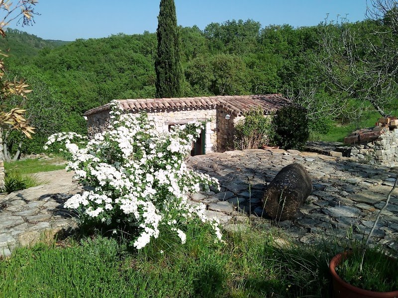 Ferme Equestre Le Relais de Vazeille - photo 3