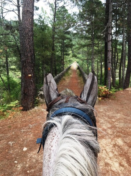 Les Ecuries de la Tuilerie - photo 1