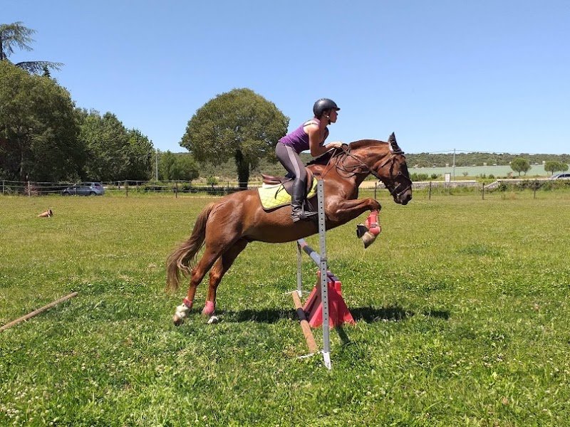 Les Ecuries de la Tuilerie - photo 3