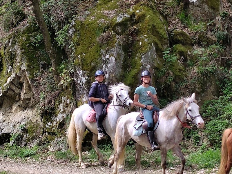 ECURIE DES LAUZIERES - photo 2