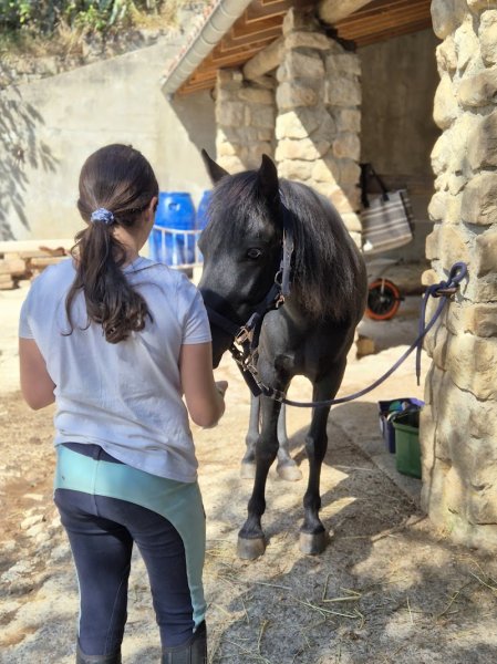 Centre équestre le chambon