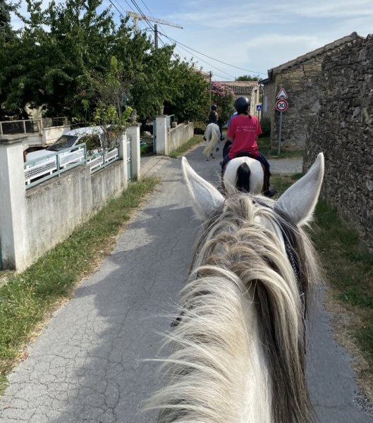 Centre équestre le chambon - photo 2
