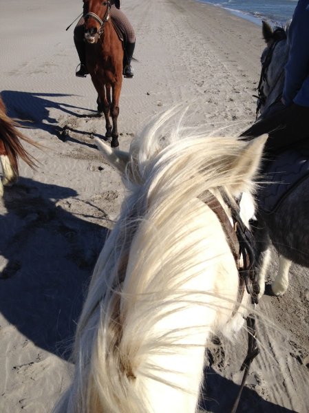 LES PONEYS D'EOLE - photo 3