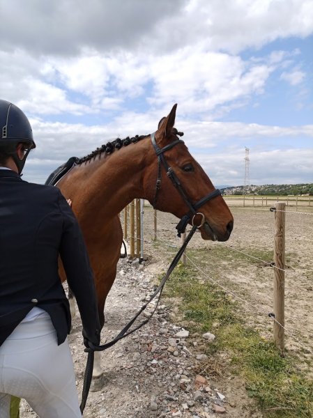 ECURIES LES SABOTS DE CHERLEY