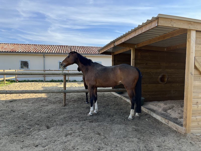 ECURIES LES SABOTS DE CHERLEY - photo 3