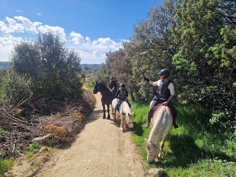 Harmonie Equestre - photo 3