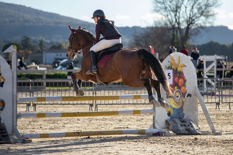 Écurie de Khara - photo 3