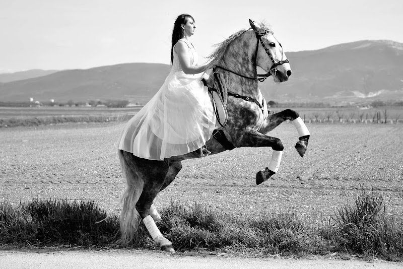 Domaine Équestre ValRose - photo 1