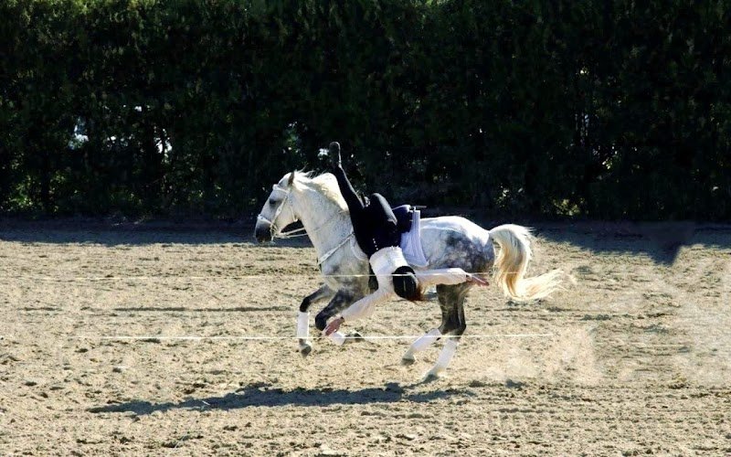 Domaine Équestre ValRose - photo 3