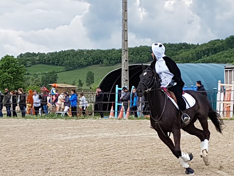 Les Écuries des Bels - photo 3