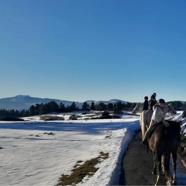 Les Écuries de Champsac - photo 2