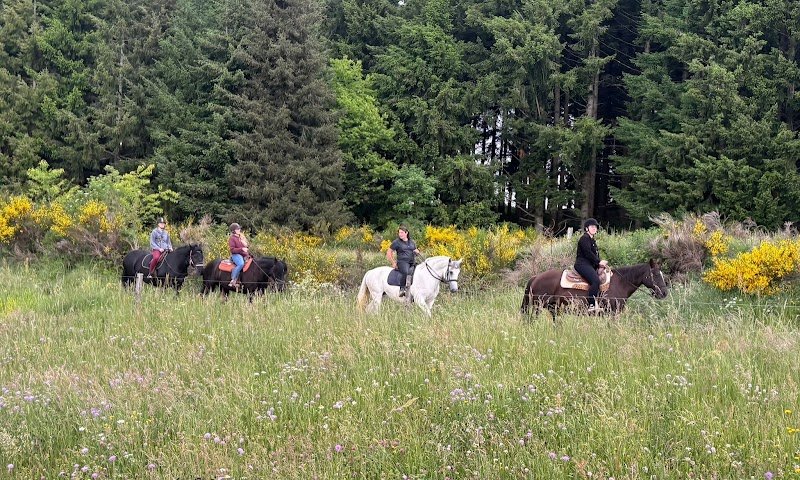 Les Écuries de Champsac - photo 3