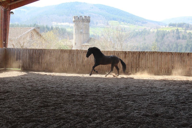 Centre équestre Le Vergier