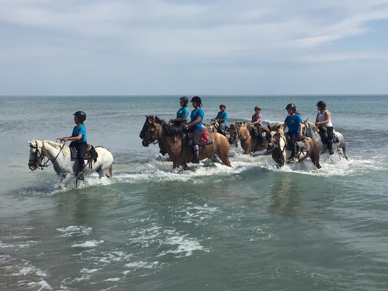 Poney Club De Fermenas
