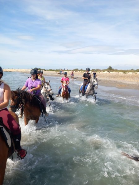 l'écurie des lutins - photo 1