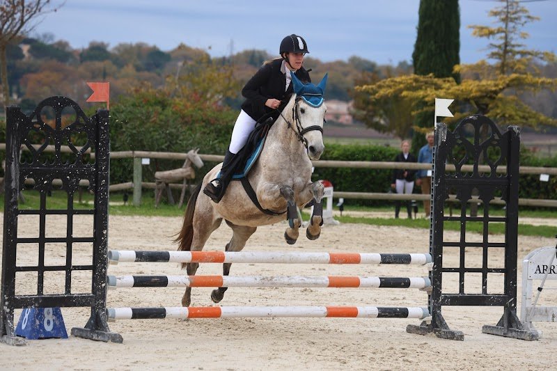 l'écurie des lutins - photo 2