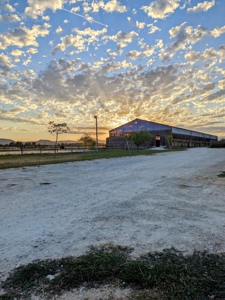 Écuries Ennéa - photo 3