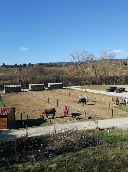 CENTRE EQUESTRE PONEY CLUB LES KIWIS - photo 1