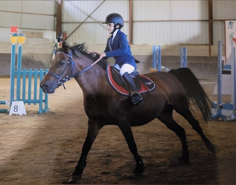 Club Hippique Du Moulon - photo 1