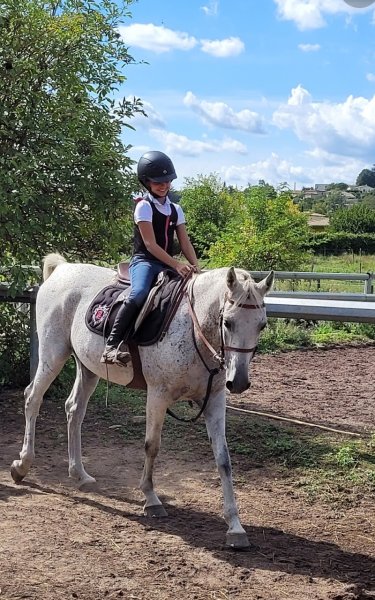 Club Hippique Du Moulon - photo 2