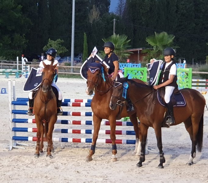 Club Hippique Du Moulon - photo 3