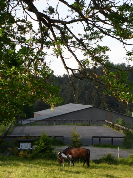 Cheval Des Hautes Terres - photo 1