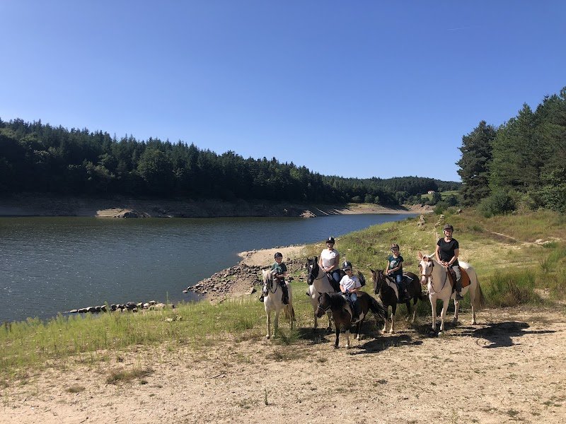 Les Chevaux du Clos de la Gardille
