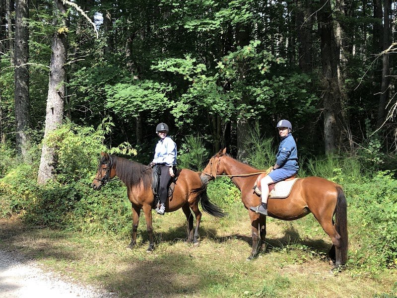 Les Chevaux du Clos de la Gardille - photo 2