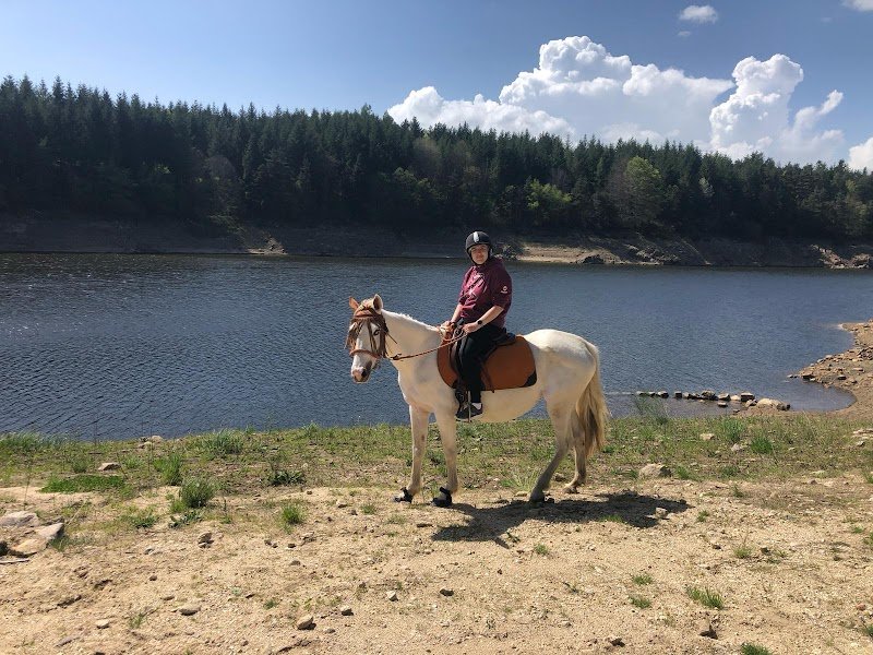 Les Chevaux du Clos de la Gardille - photo 3