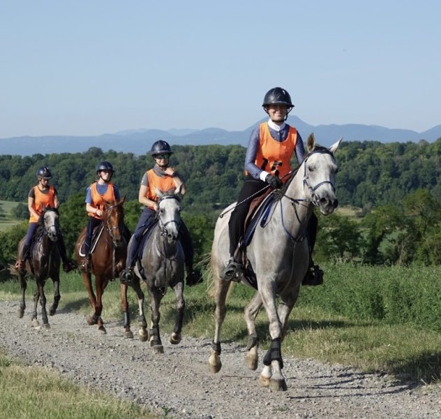 Haras de la Majorie - photo 2