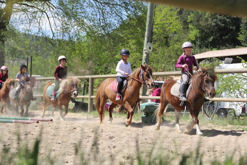 Ferme équestre le Foussac - photo 1