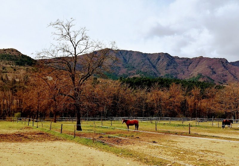Ferme équestre le Foussac - photo 2