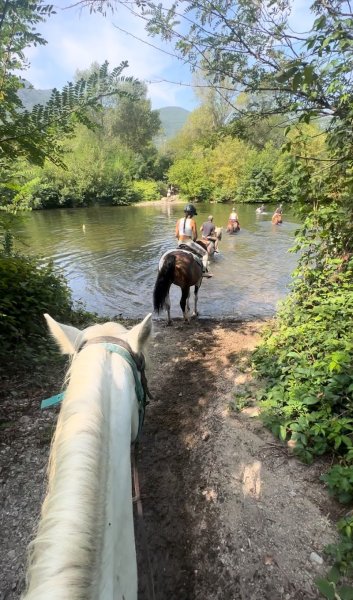 Ferme équestre le Foussac - photo 3