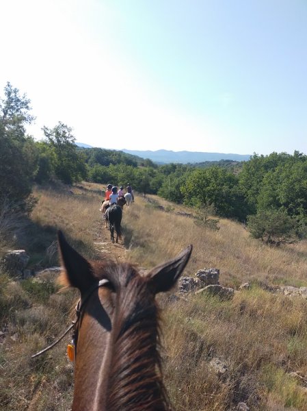 Centre Equestre des Combes - photo 2