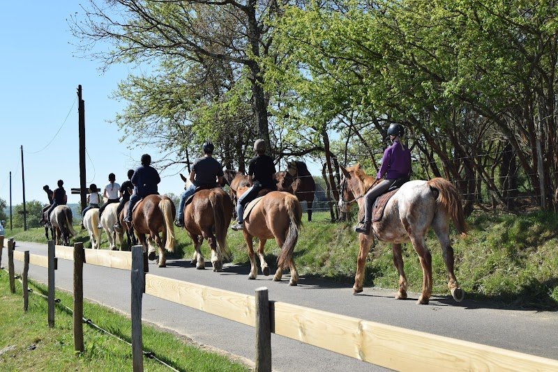 Centre équestre l'hippocampe - photo 1