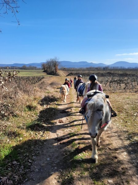Centre équestre l'hippocampe - photo 2