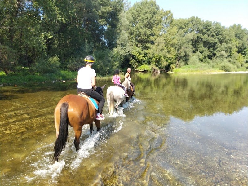 Centre équestre l'hippocampe - photo 3