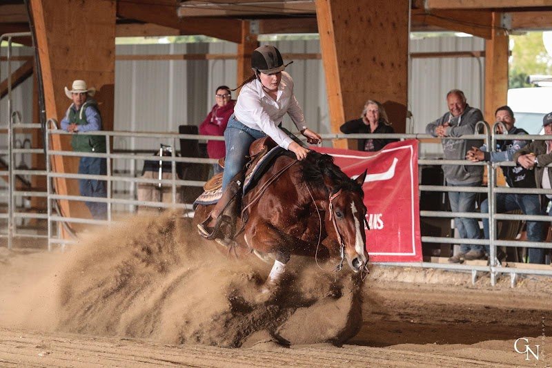 Vano stables - photo 2