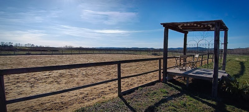 Écuries de Baylenque | Écurie de propriétaires - Pension pour chevaux